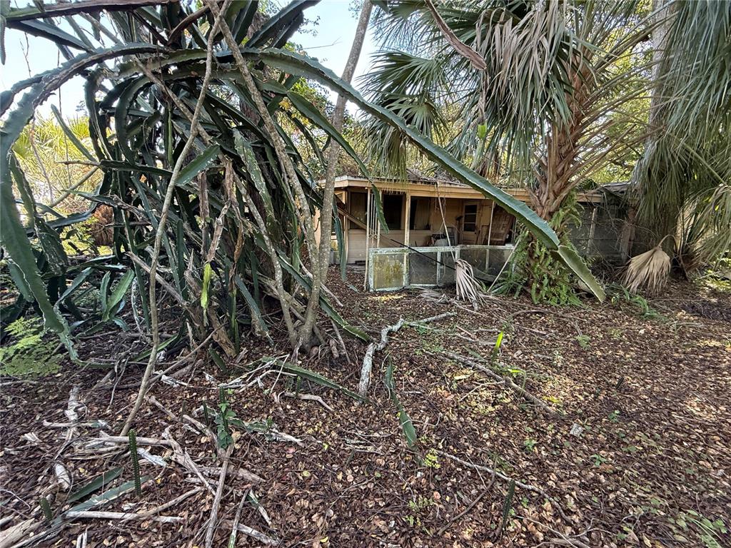 6515 Taylor Court New Port Richey, FL 34653 - Photo 13 of 23 a backyard of a house with lots of green space