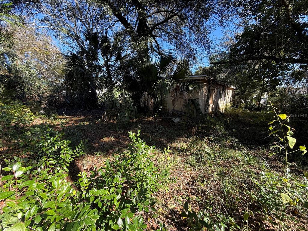 6515 Taylor Court New Port Richey, FL 34653 - Photo 14 of 23 a view of outdoor space and a yard