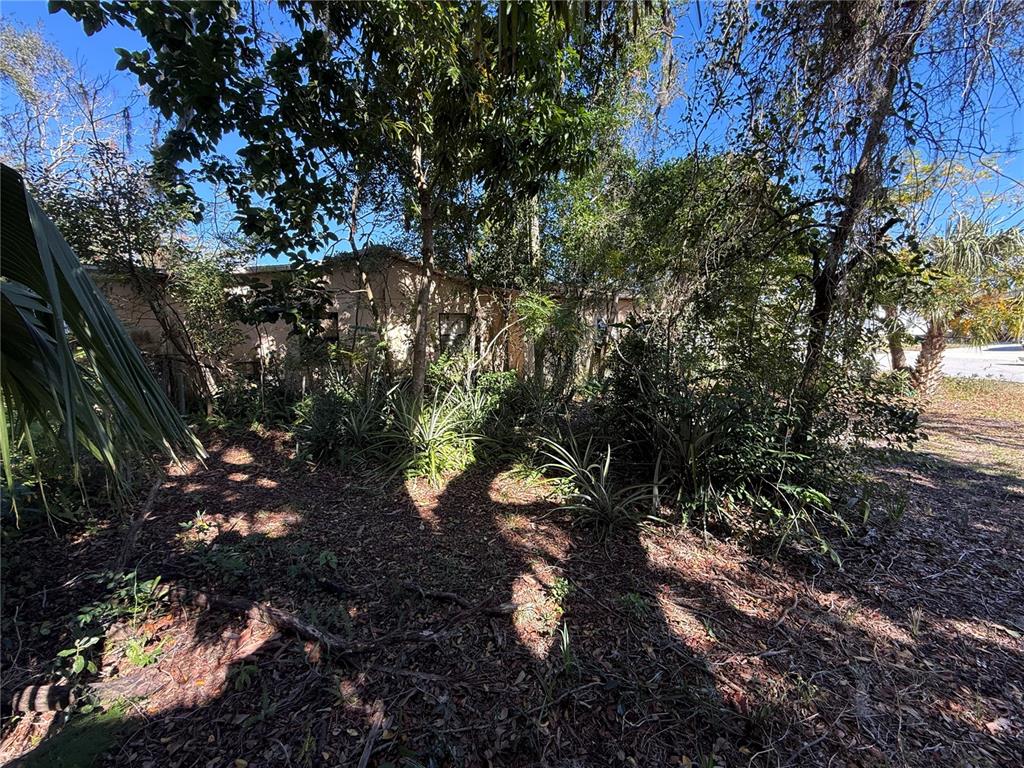 6515 Taylor Court New Port Richey, FL 34653 - Photo 17 of 23 a backyard of a house with a garden