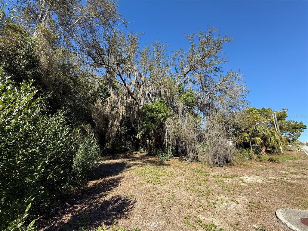 6515 Taylor Court New Port Richey, FL 34653 - Photo 21 of 23 a view of outdoor space and trees