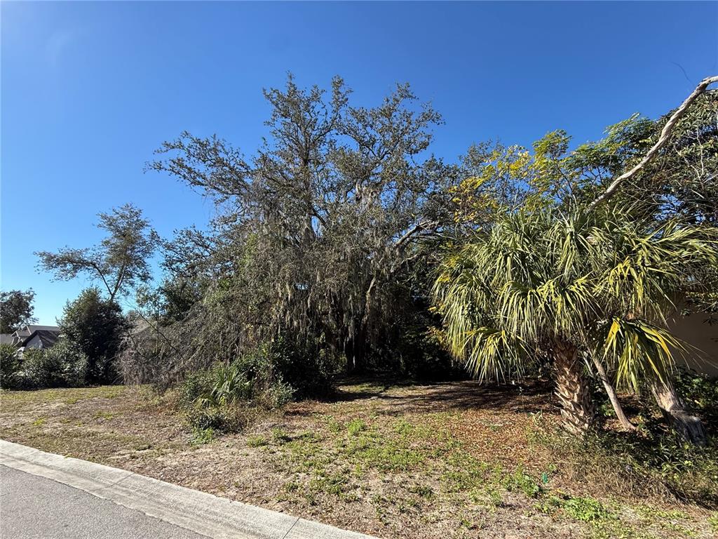 6515 Taylor Court New Port Richey, FL 34653 - Photo 22 of 23 a view of a yard with plants and trees