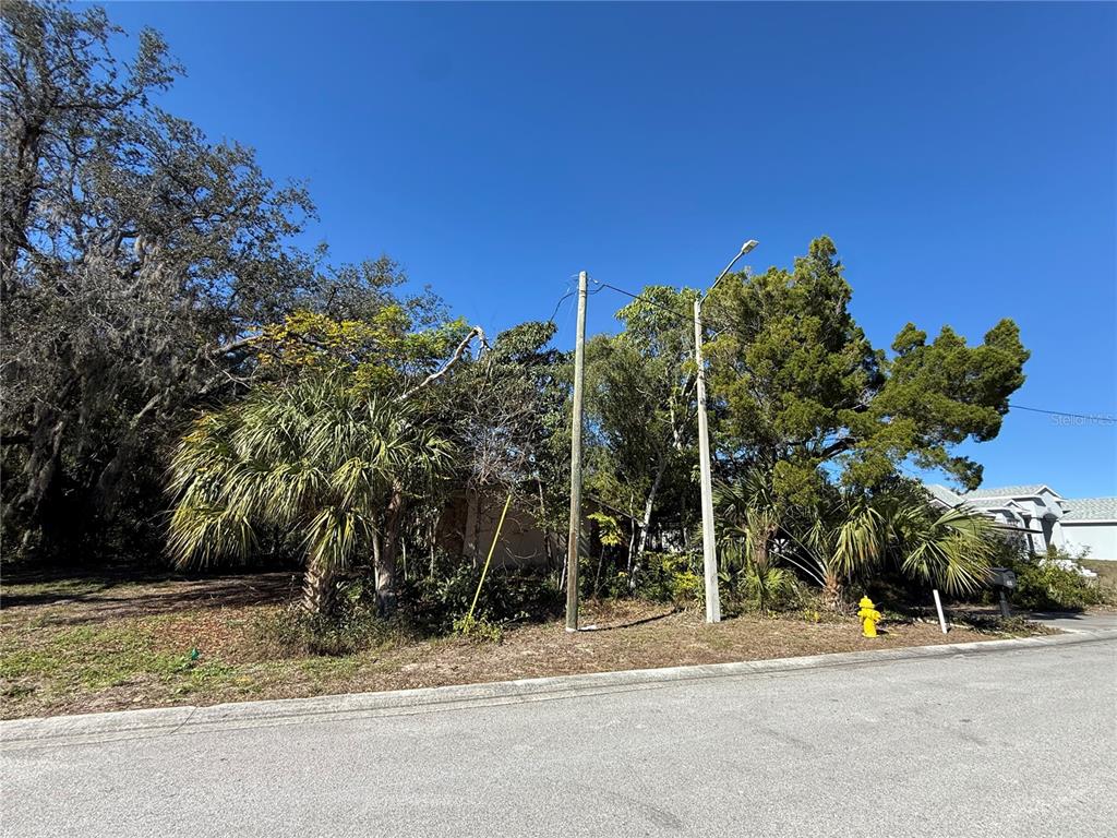 6515 Taylor Court New Port Richey, FL 34653 - Photo 23 of 23 a view of a house with a street