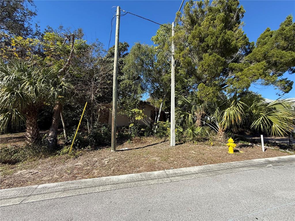 6515 Taylor Court New Port Richey, FL 34653 - Photo 8 of 23 a view of a park with potted plants and large trees