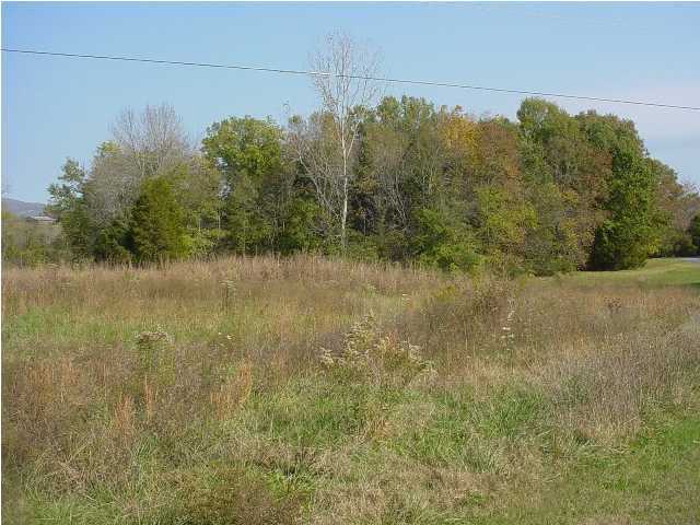 0 Brush Creek Road Dayton, TN 37367 - Photo 3 of 3 Additional Photo