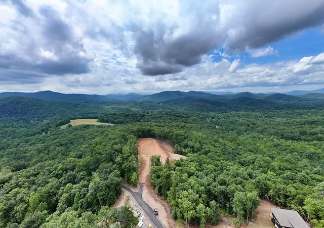 a view of a city with lush green forest