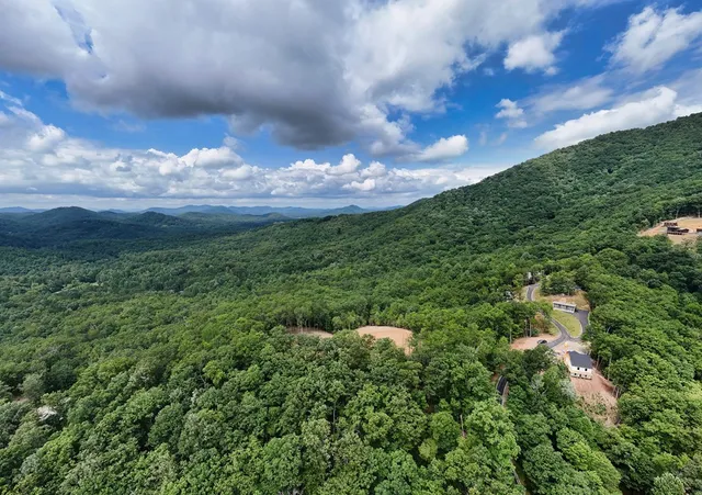 a view of a city with lush green forest