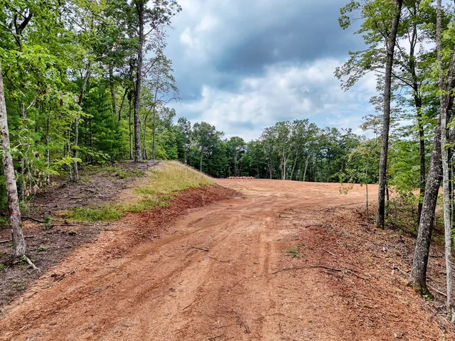 a view of a yard with plants and trees