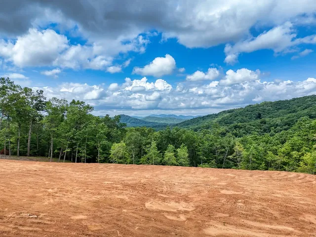 a view of a big yard