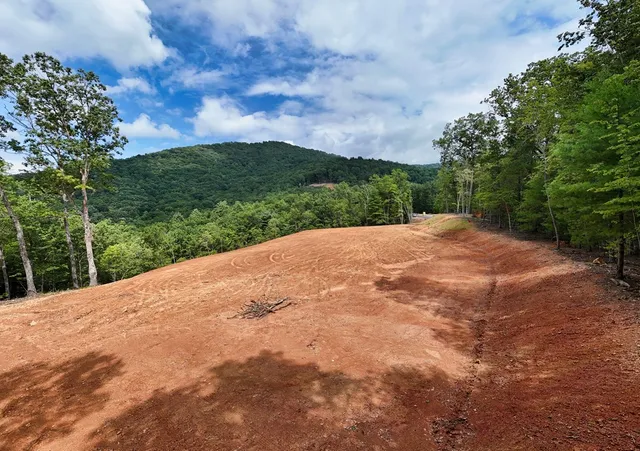 a view of a backyard of the house