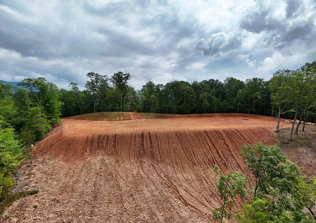 a view of a pathway with a yard