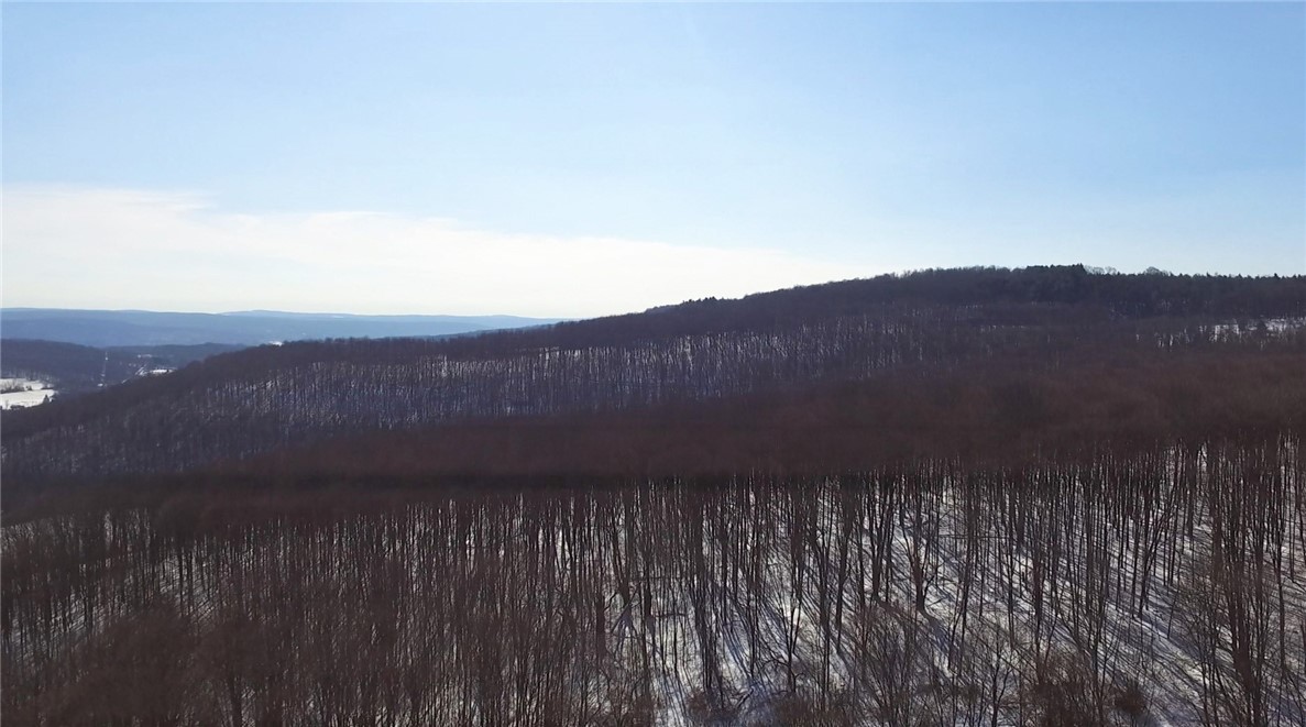 678 Tinker Ridge Road Plymouth, NY 13464 - Photo 44 of 50