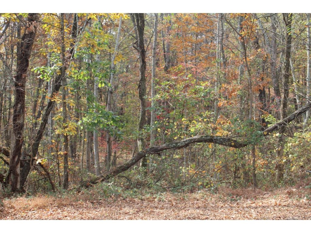1600 Foxford Road Greeneville, TN 37743 - Photo 7 of 32 Photo 7