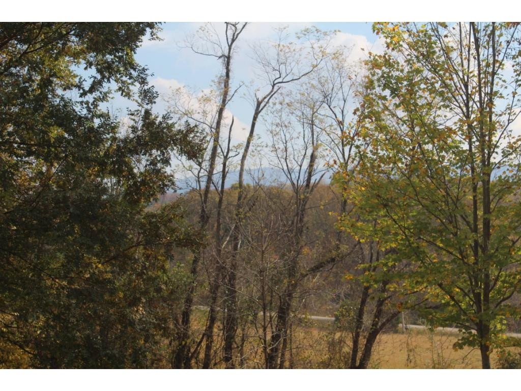 1600 Foxford Road Greeneville, TN 37743 - Photo 9 of 32 Photo 9