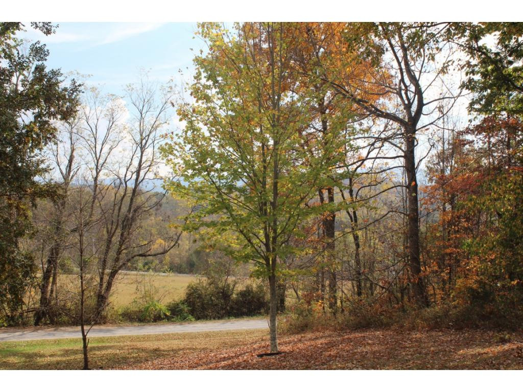 1600 Foxford Road Greeneville, TN 37743 - Photo 10 of 32 Photo 10