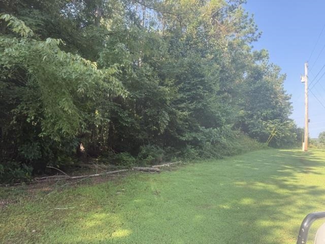 4 Carroll Hollow Road Waynesboro, TN 38485 - Photo 25 of 32 Gallery Image 25