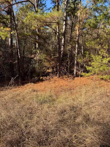 a view of outdoor space