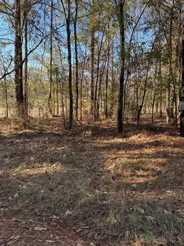 a view of a basket ball court