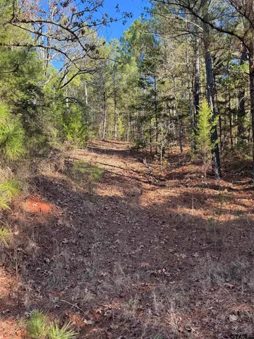 a view of outdoor space and a yard