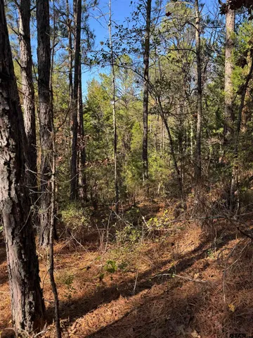 a view of residential houses with yard