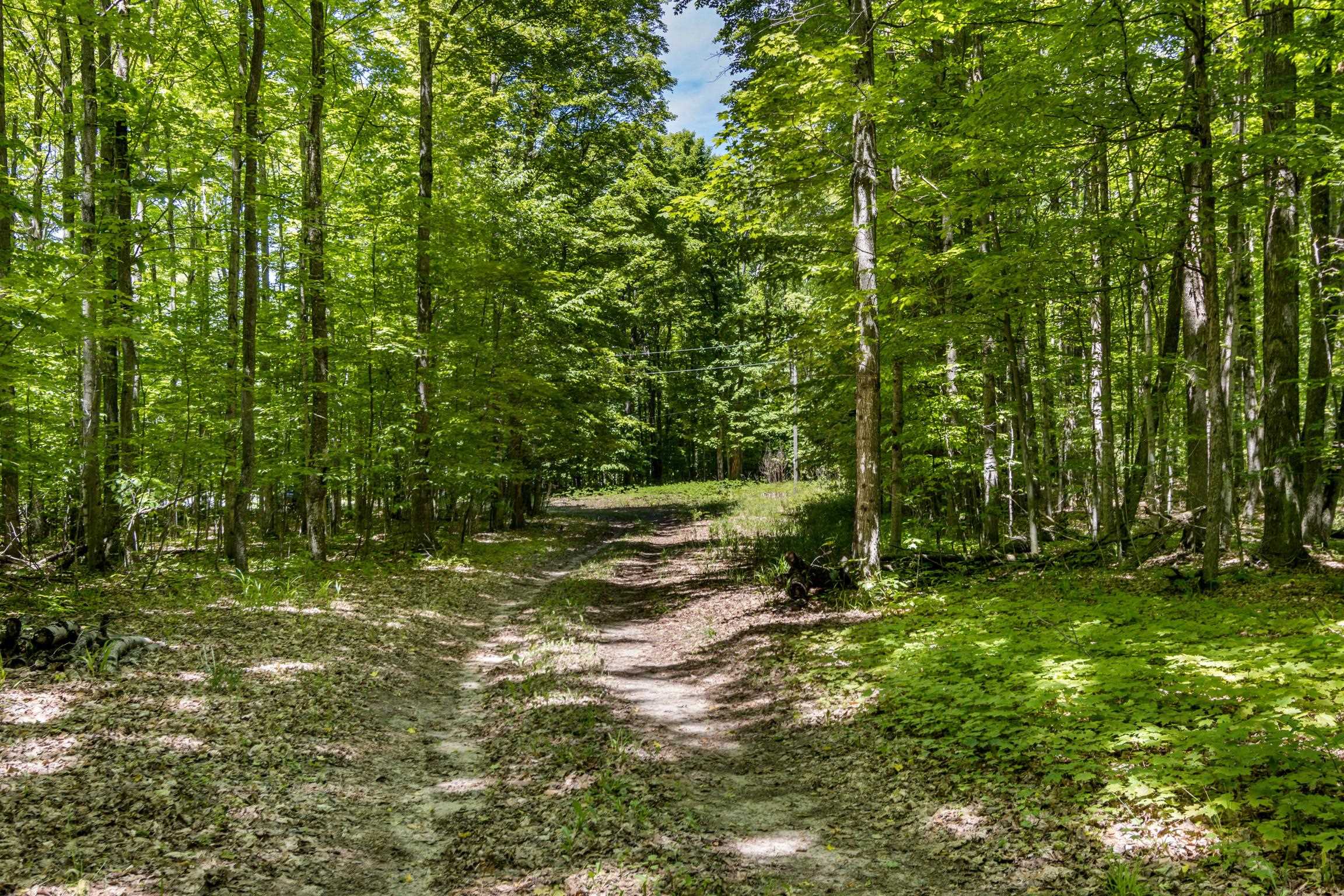 4501 Oslund Road Mancelona, MI 49659 - Photo 25 of 26