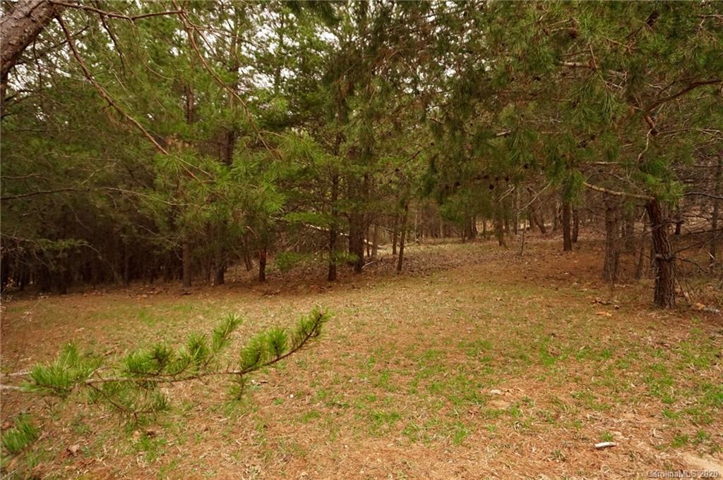 1054 Golden Road Columbus, NC 28722 - Photo 22 of 48