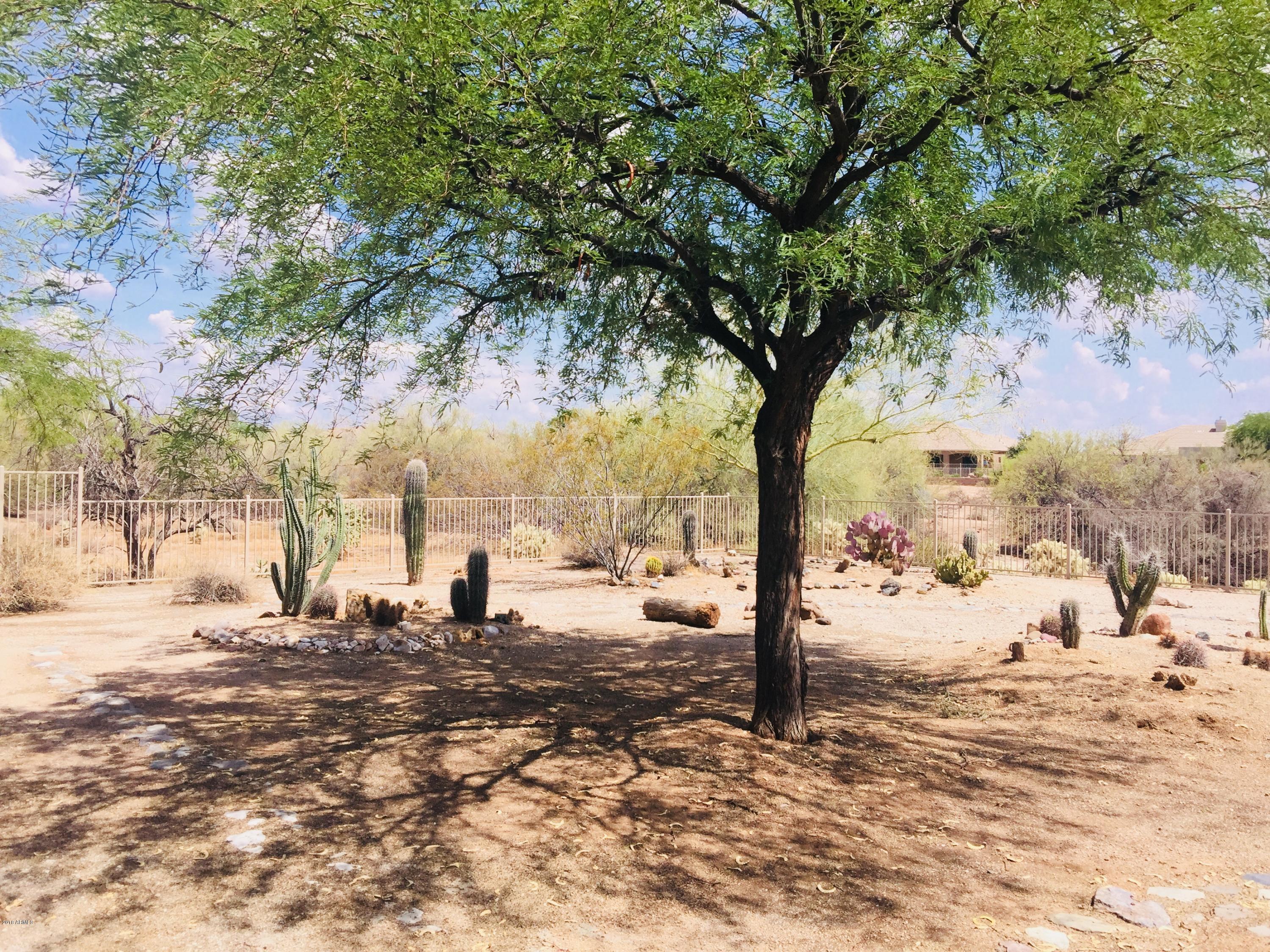 4531 East Sleepy Ranch Road Cave Creek, AZ 85331 - Photo 33 of 47 Yard