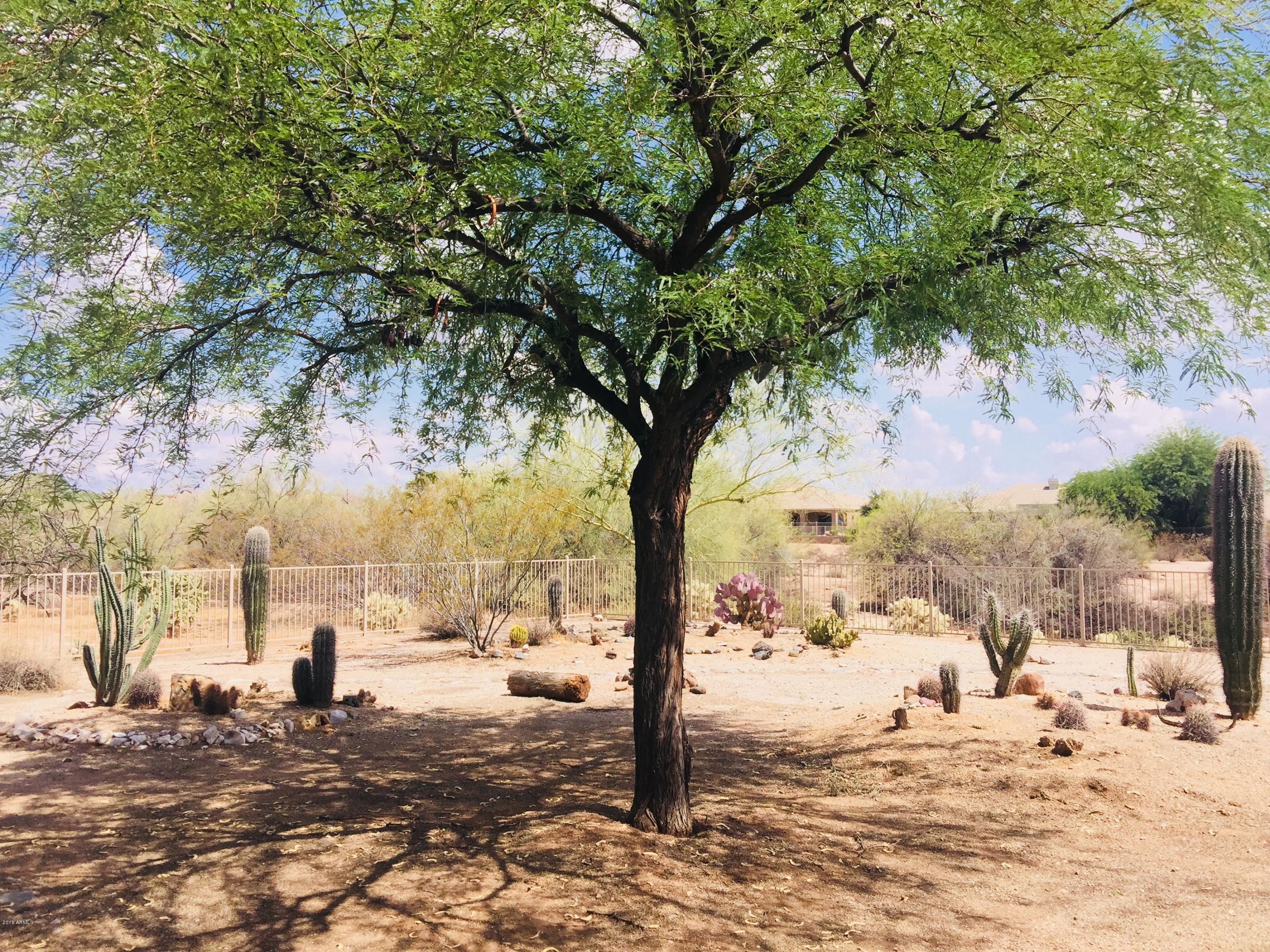 4531 East Sleepy Ranch Road Cave Creek, AZ 85331 - Photo 35 of 47 Yard