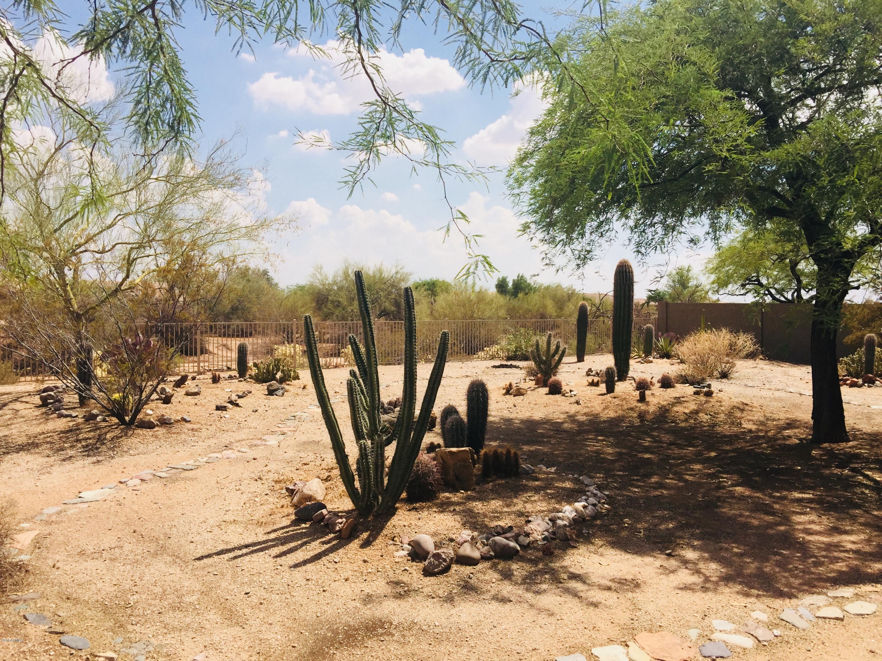 4531 East Sleepy Ranch Road Cave Creek, AZ 85331 - Photo 41 of 47 Yard