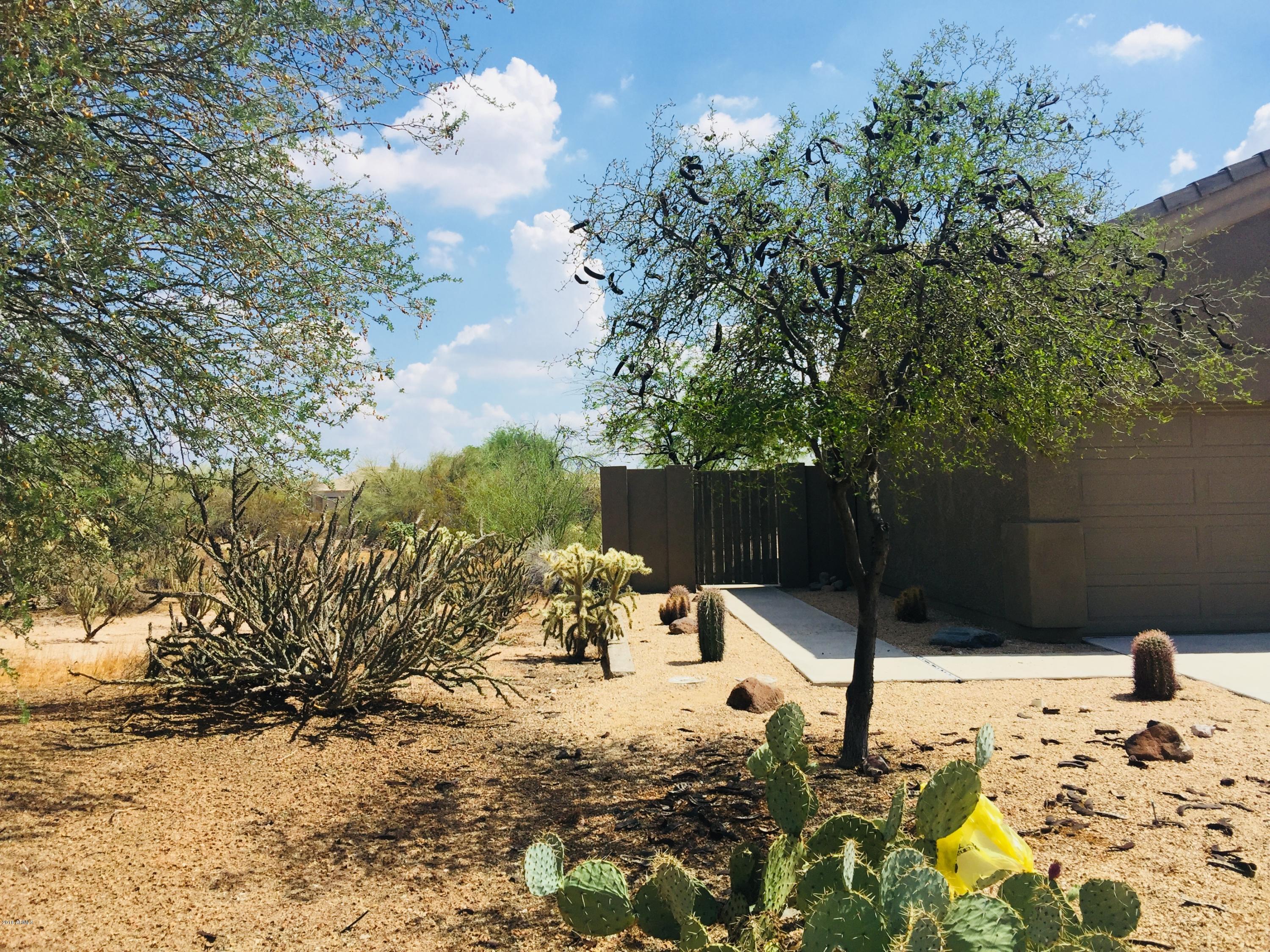 4531 East Sleepy Ranch Road Cave Creek, AZ 85331 - Photo 47 of 47 Front