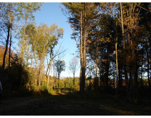 0 Kinnebrook Road Worthington, MA 01098 - Photo 3 of 3