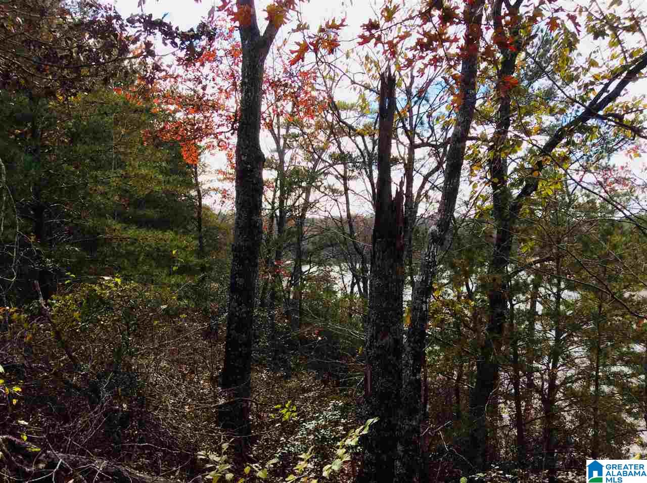1-1 Acre Pleasure Point Road, Unit 3 Wedowee, AL 36278 - Photo 4 of 5