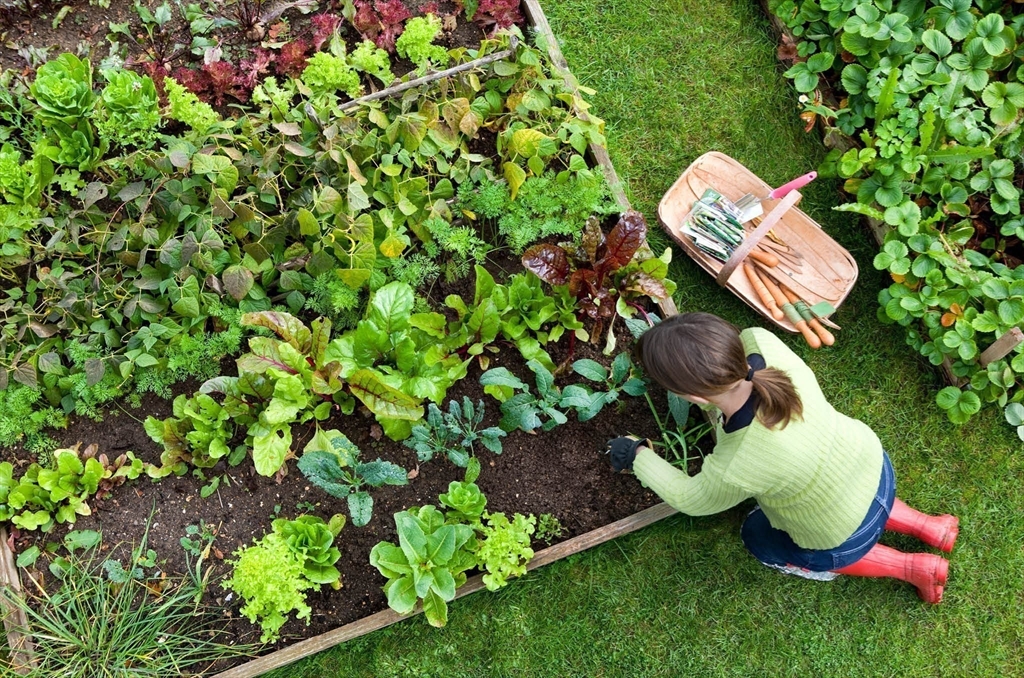 0 Oxbow Road, Unit 443 Raynham, MA 02767 - Photo 23 of 25