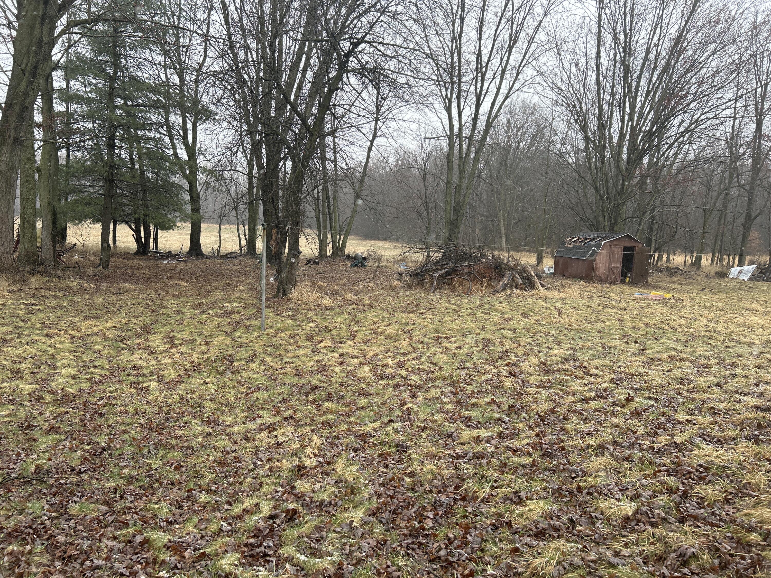 574 Farrand Road Sherwood, MI 49089 - Photo 3 of 9 image