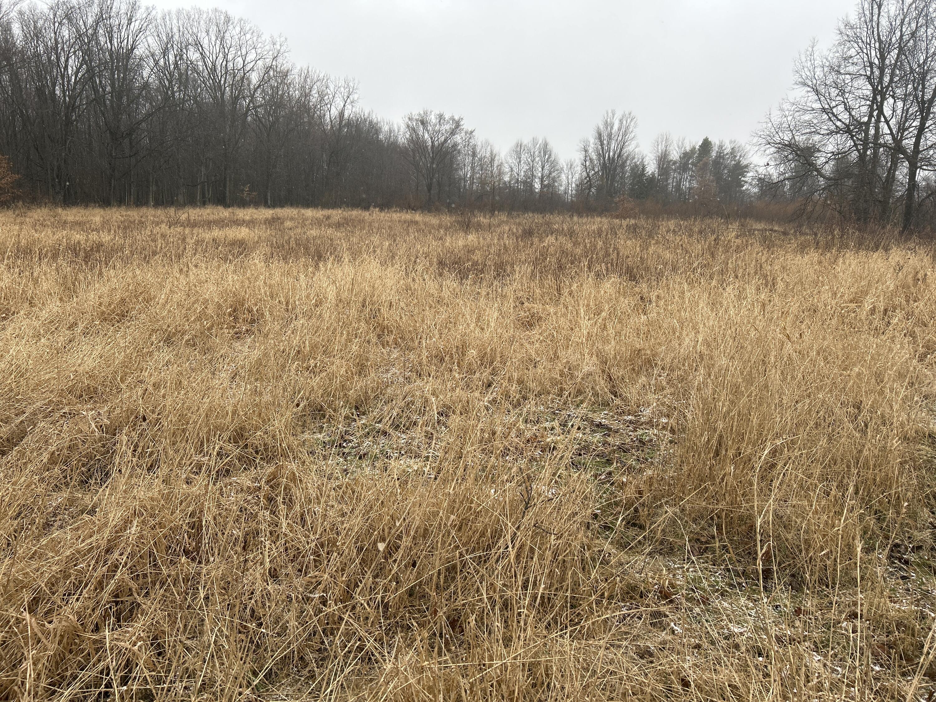 574 Farrand Road Sherwood, MI 49089 - Photo 6 of 9 image