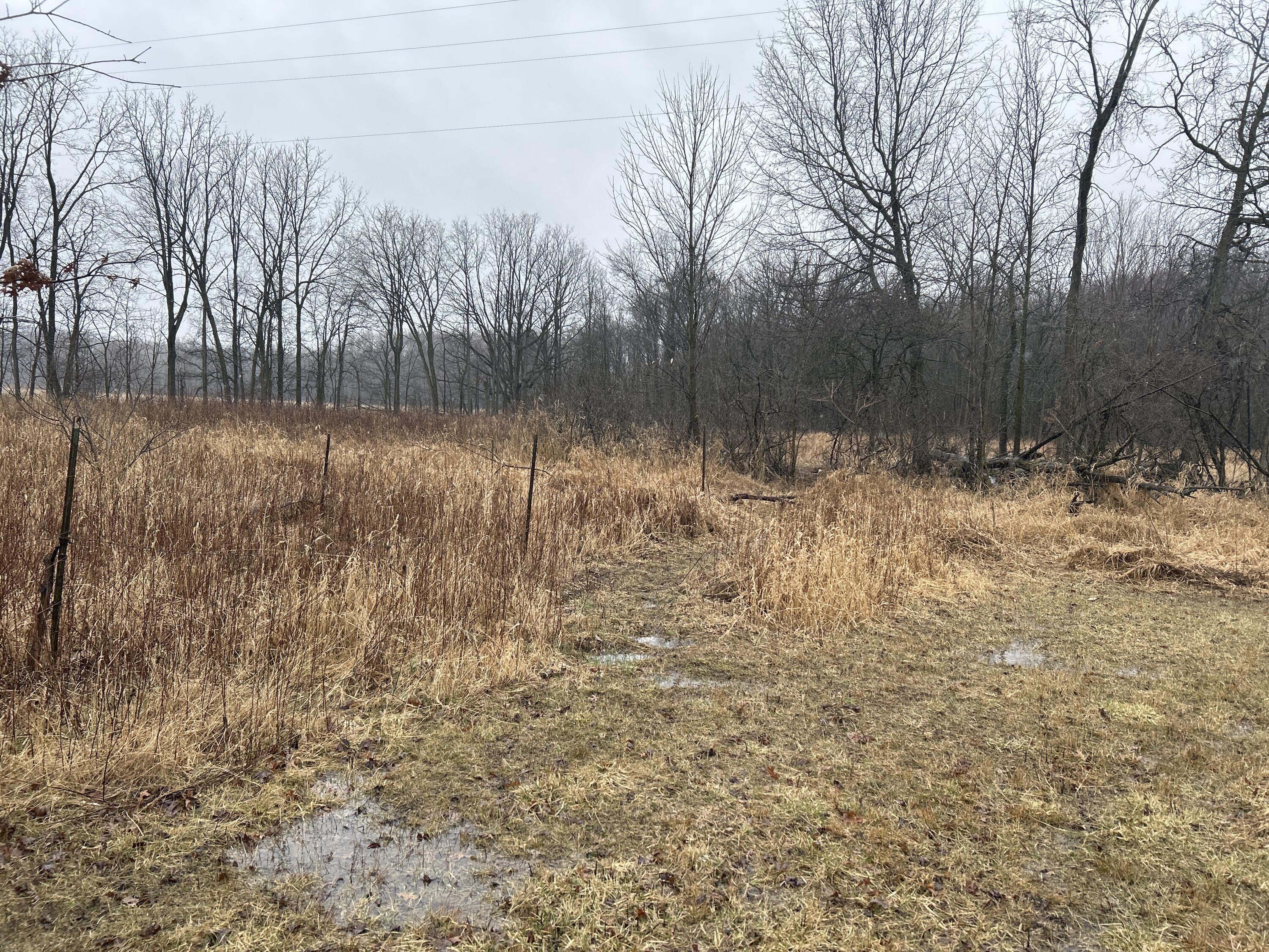 574 Farrand Road Sherwood, MI 49089 - Photo 7 of 9 image