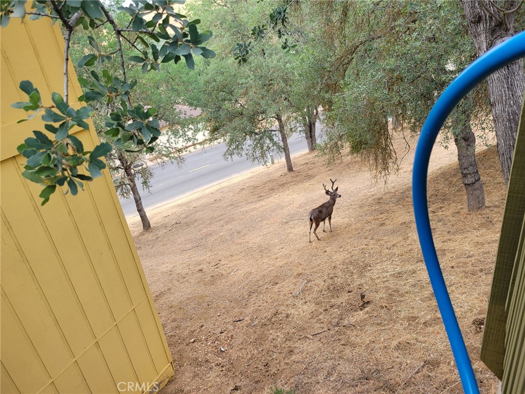 2615 Crows Nest Loop Bradley, CA 93426 - Photo 18 of 31