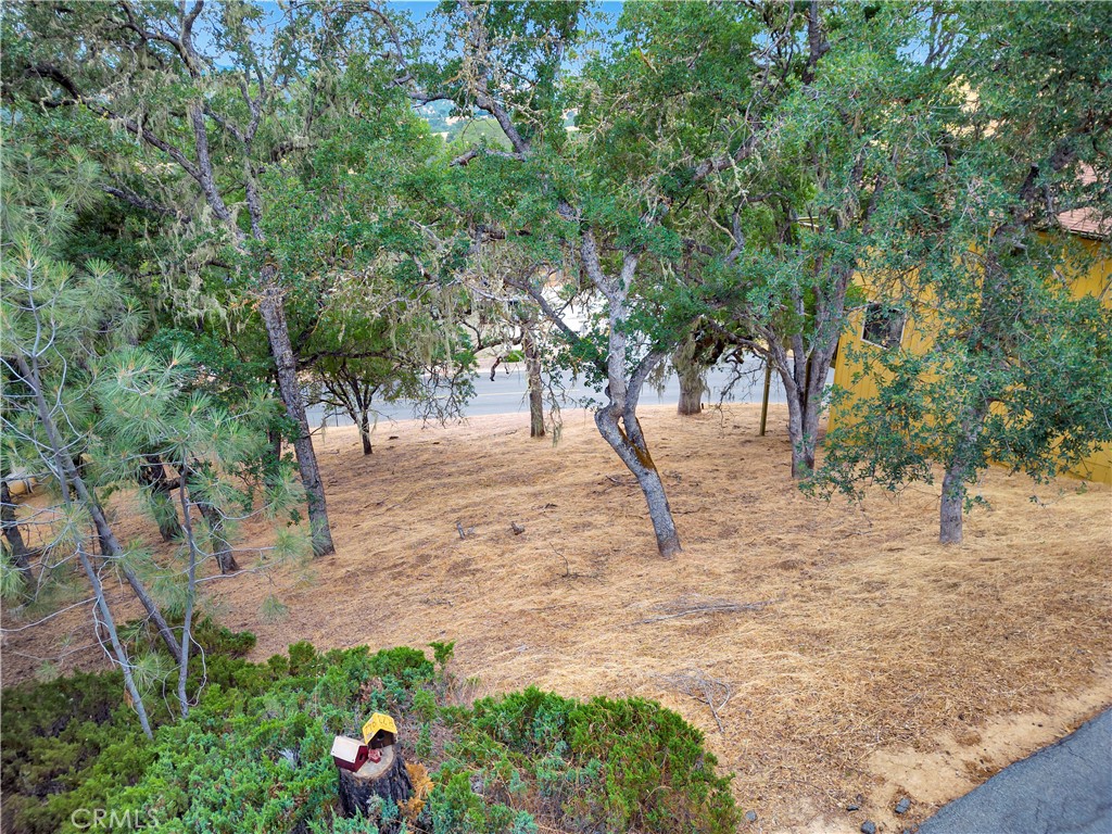 2615 Crows Nest Loop Bradley, CA 93426 - Photo 19 of 31 Side of home for possible add'l parking area.