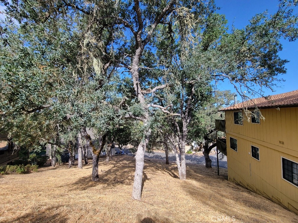 2615 Crows Nest Loop Bradley, CA 93426 - Photo 3 of 31 Adjacent Lot included