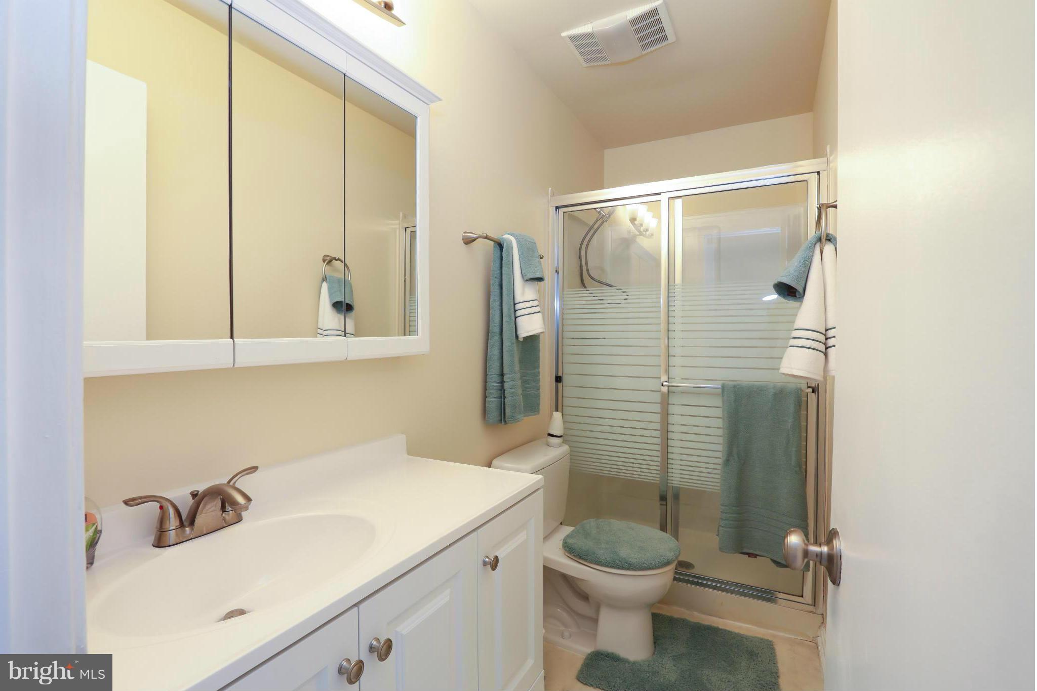 11755 Dry River Court Reston, VA 20191 - Photo 11 of 21 Bath (Master)