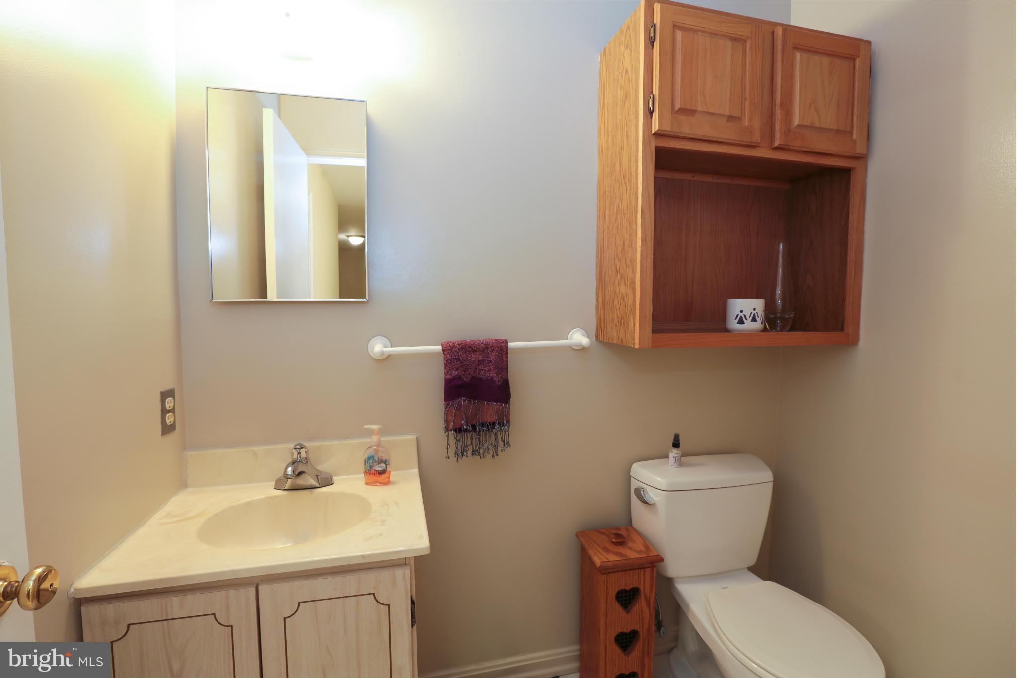 11755 Dry River Court Reston, VA 20191 - Photo 17 of 21 Bath