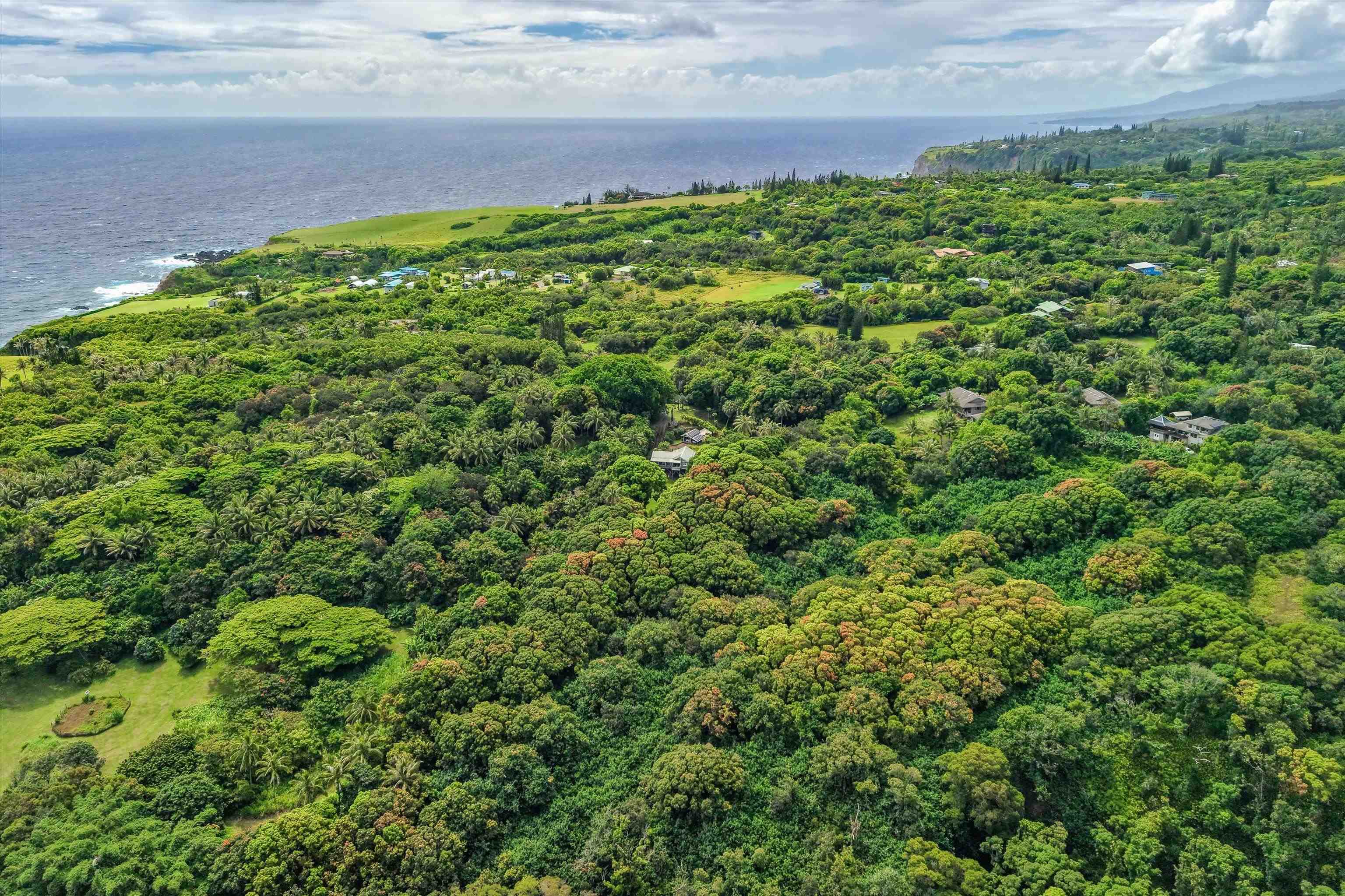 630 Hoolawa Road Haiku, HI 96708 - Photo 36 of 50