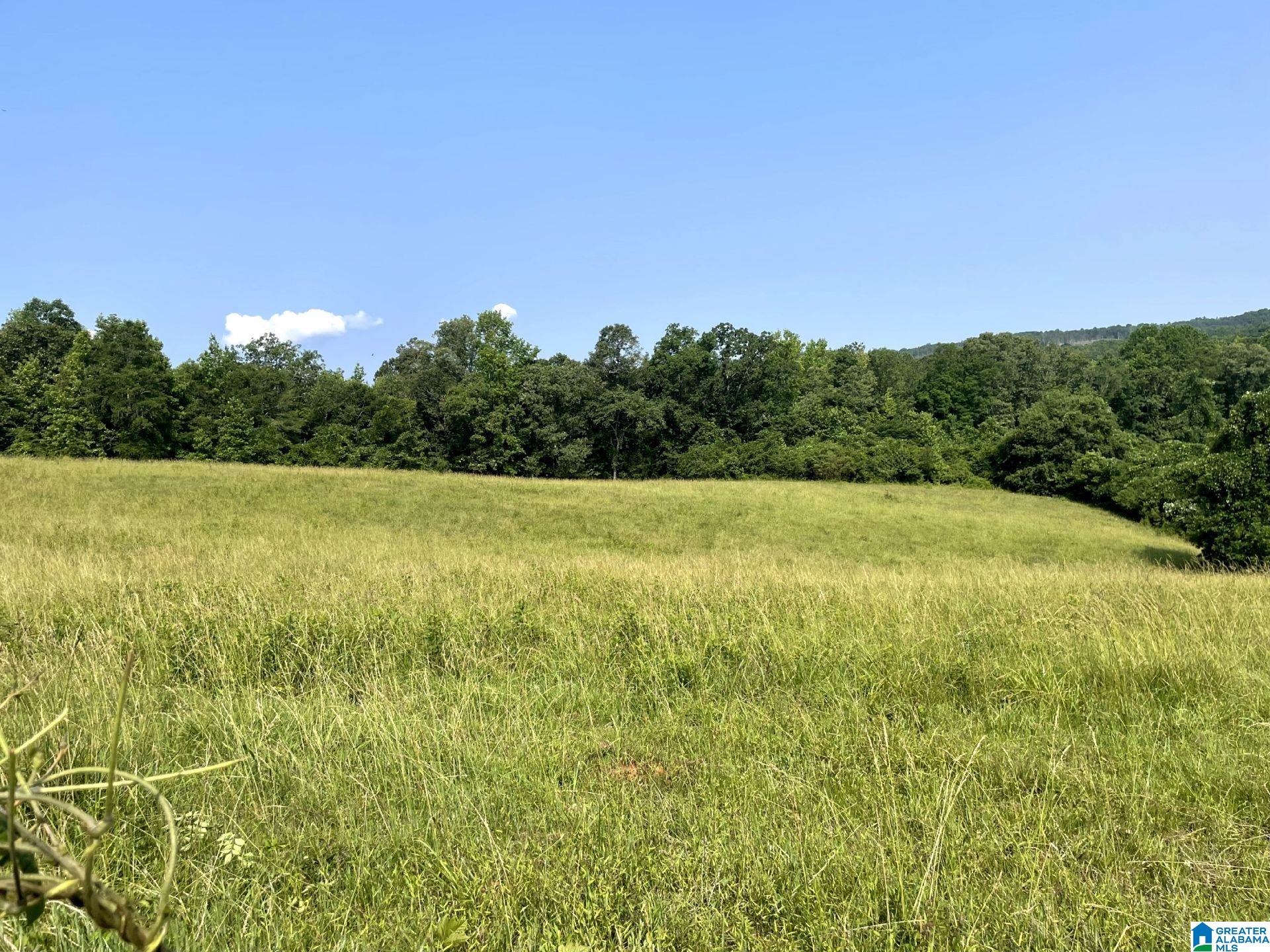 1500 Shiloh Church Road, Unit 81 95 ACRES Delta, AL 36258 - Photo 7 of 28