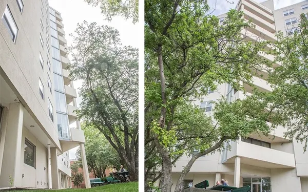 a view of a building with a tree