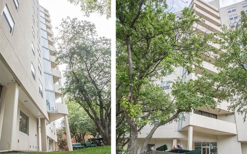 404 St Louis Avenue Excelsior Springs, MO 64024 - Photo 4 of 12 a view of a building with a tree