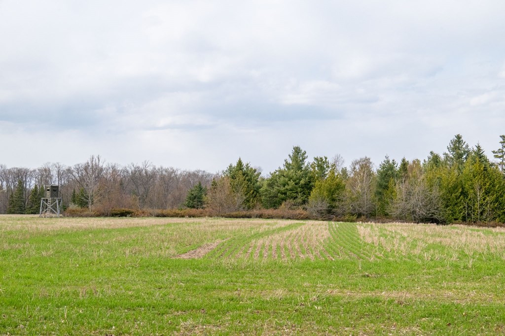 Tbd Highview Road Ellison Bay, WI 54210 - Photo 13 of 37