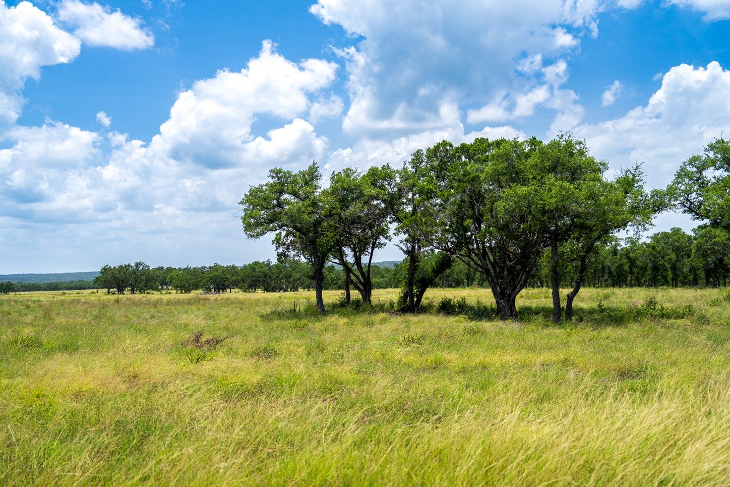 3979 Chimney Valley Road Blanco, TX 78606 - Photo 26 of 34