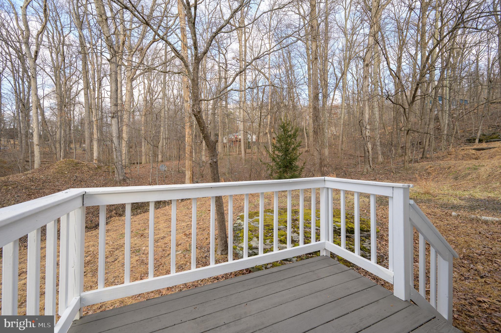 131 Flop Ear Road Harpers Ferry, WV 25425 - Photo 16 of 24 a balcony with trees in front of it