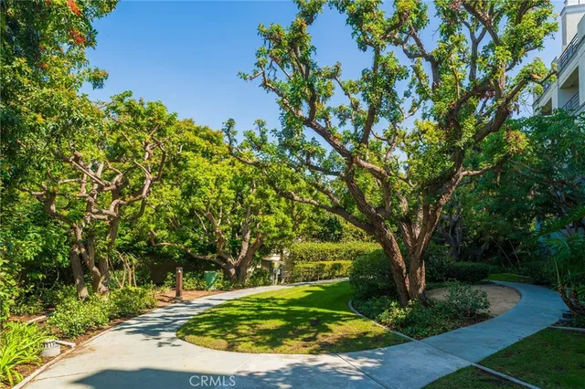 a view of a yard with large trees