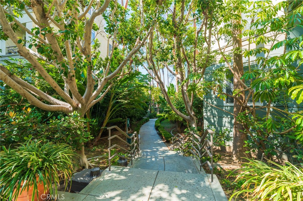 2233 Martin, Unit 202 Irvine, CA 92612 - Photo 5 of 33 a picture of plants