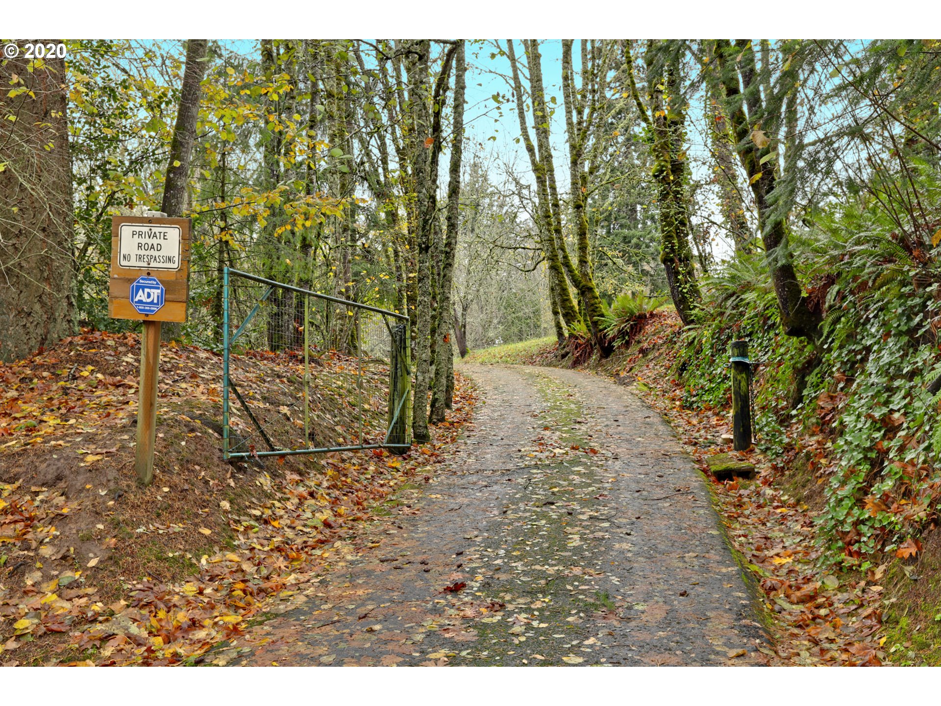 13317 Northwest Germantown Road Portland, OR 97231 - Photo 2 of 32 Gallery Image 2
